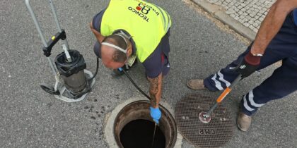 O Município de Redondo realizou a desbaratização trimestral
